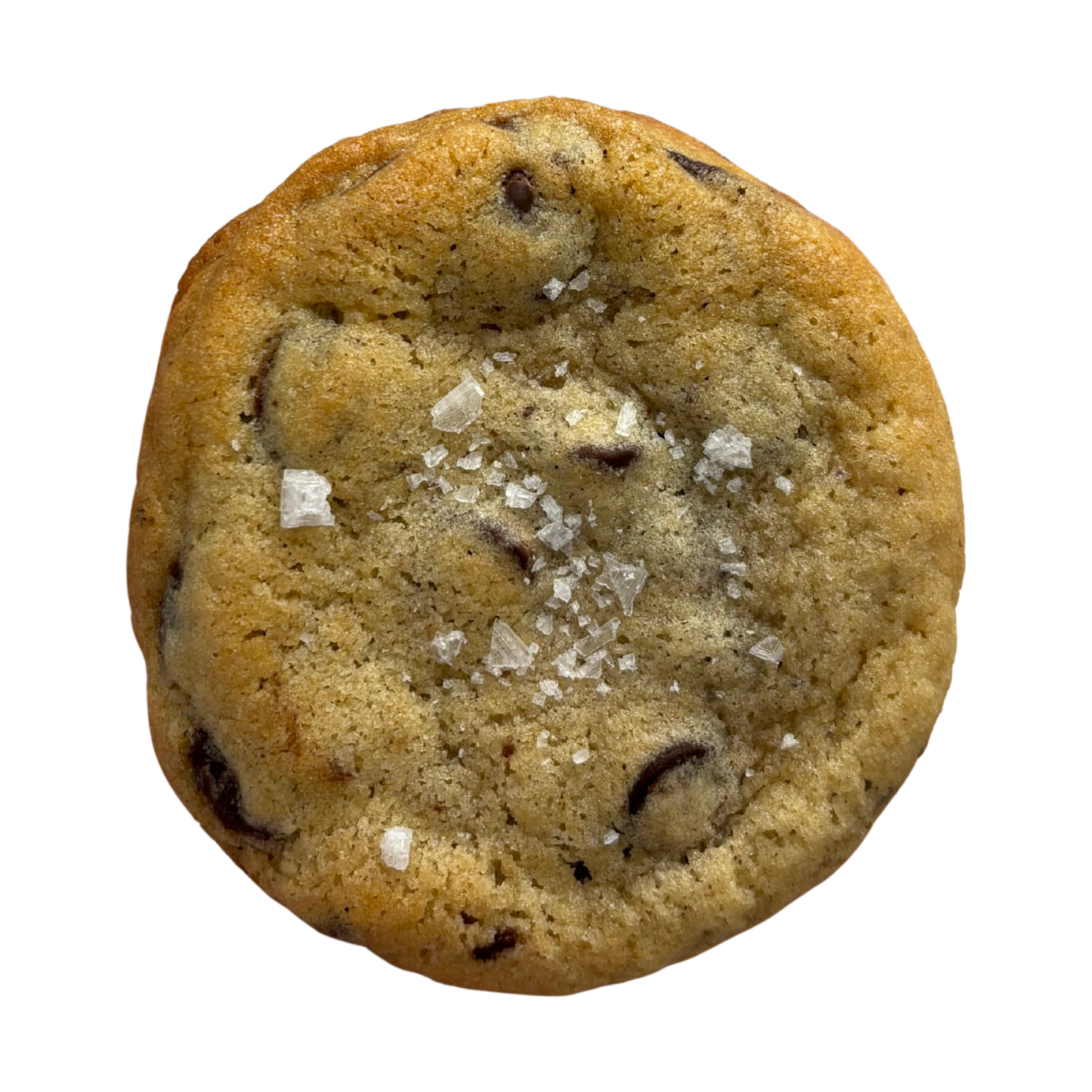 Chocolate Chip Cookie