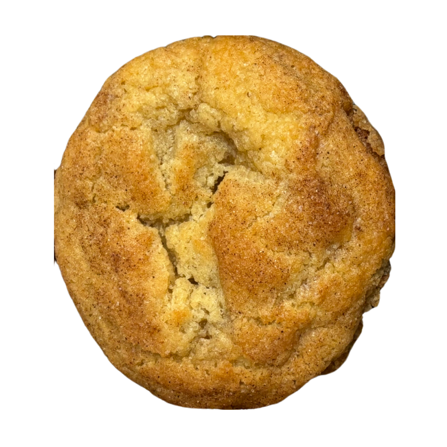 Snickerdoodle Cookie