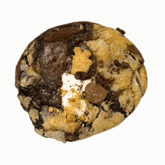 A single chocolate chip cookie with dark brown chocolate chunks, graham crumbs and a white marshmallow topper, isolated on a white background.