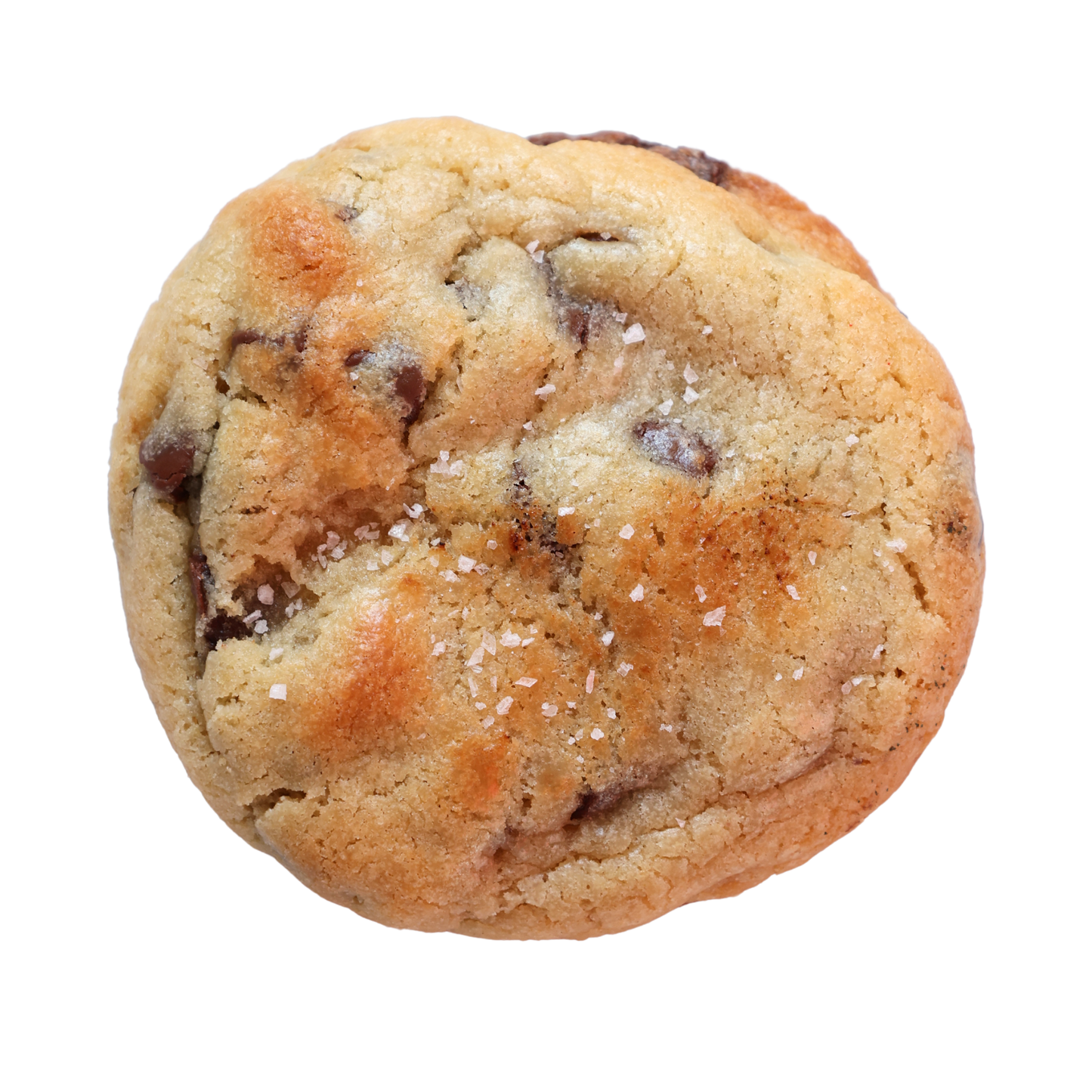 Chocolate chip cookie with a sea salt on a white background