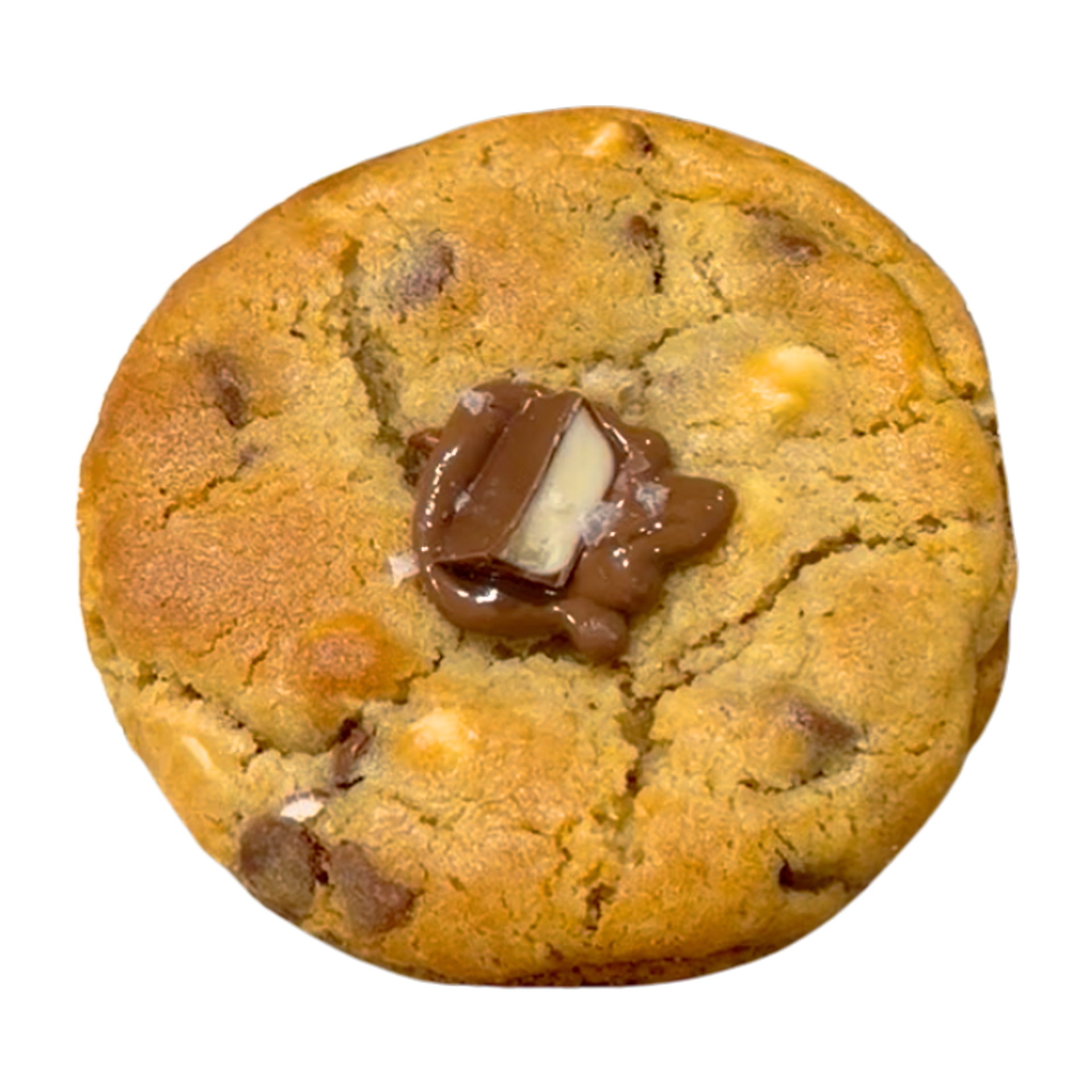 chocolate chip base cookie topped with chocolate piece