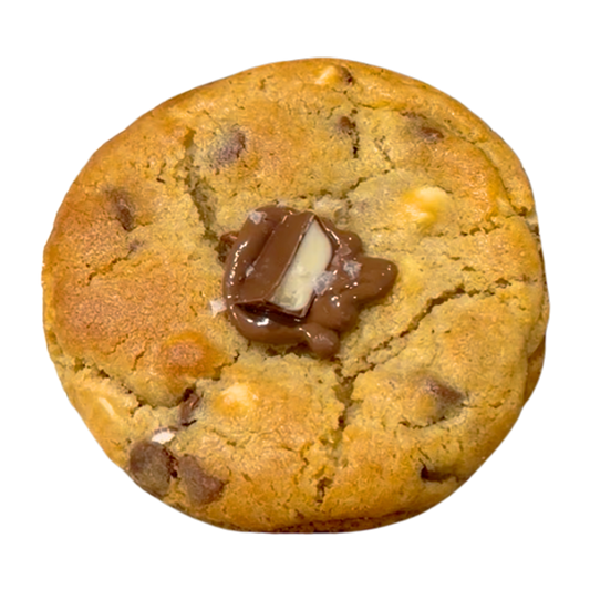 chocolate chip base cookie topped with chocolate piece